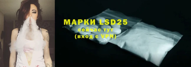 PSILOCYBIN Сафоново