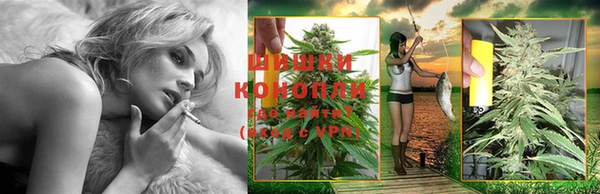 PSILOCYBIN Сафоново