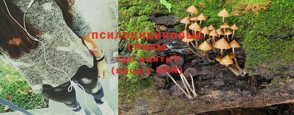 мет Сатка