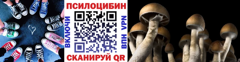 Купить  Ликино-Дулёво  Галлюциногенные грибы мицелий 